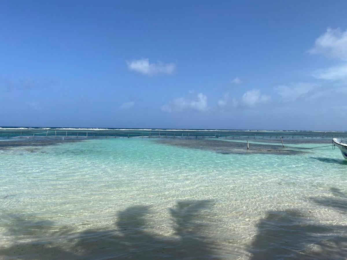 Hotel Blue Reef Frente Al Mar Mahahual Exterior photo